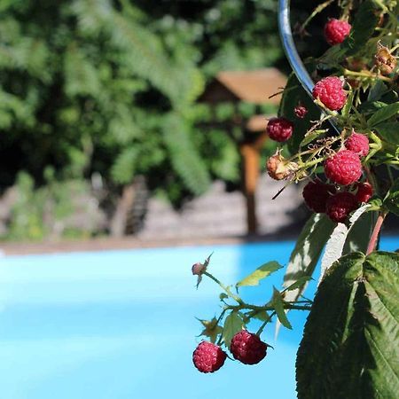 Routier Le Chat Botte - Vankantiehuis In Languedoc-Roussillion B&B 외부 사진